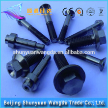 Bolts/Nuts for Vacuum Furnace